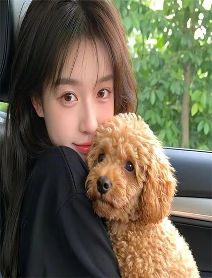 2026暑期档《退休后儿子逼我和前夫复婚》：市场表现分析